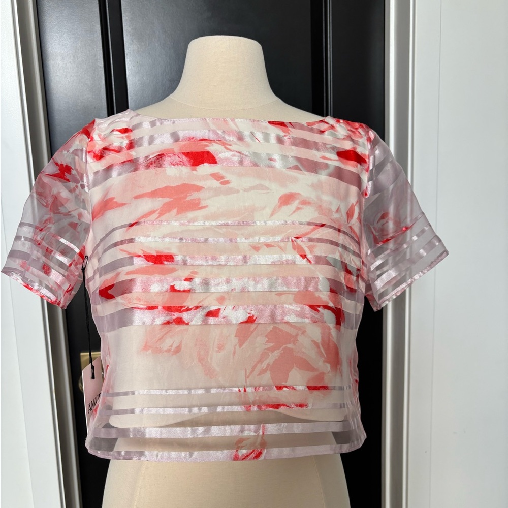 AMUR Red and Pink Sheer Blouse